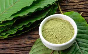 bowl of kratom powder